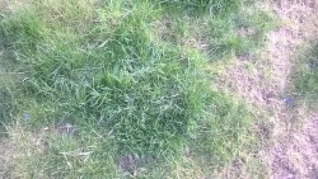 Nokia Lumia 435