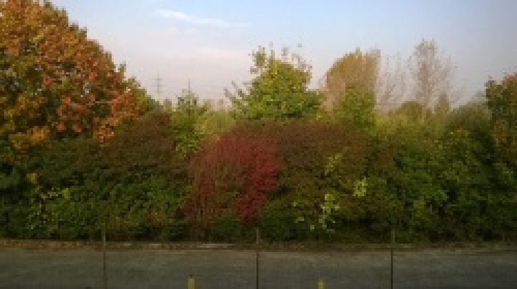 Nokia Lumia 530