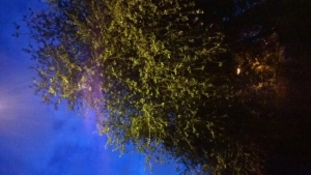 Nokia Lumia 930