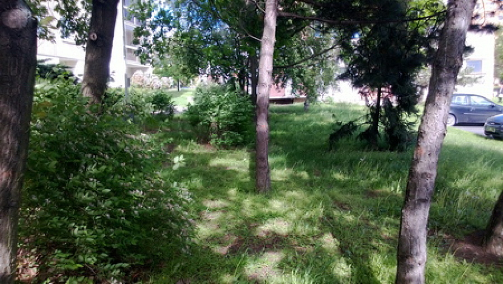 Nokia Lumia 720