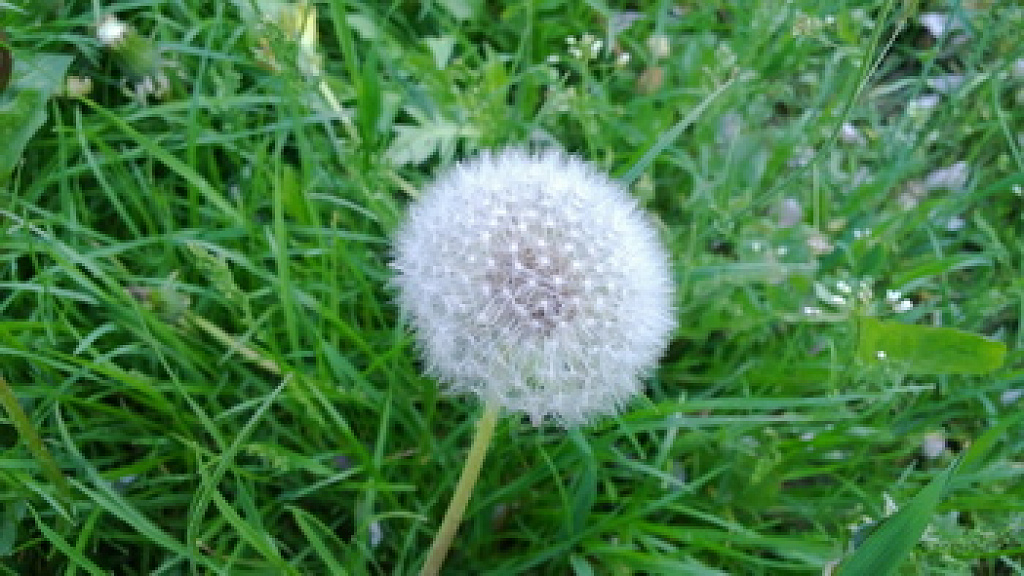 Nokia Lumia 820
