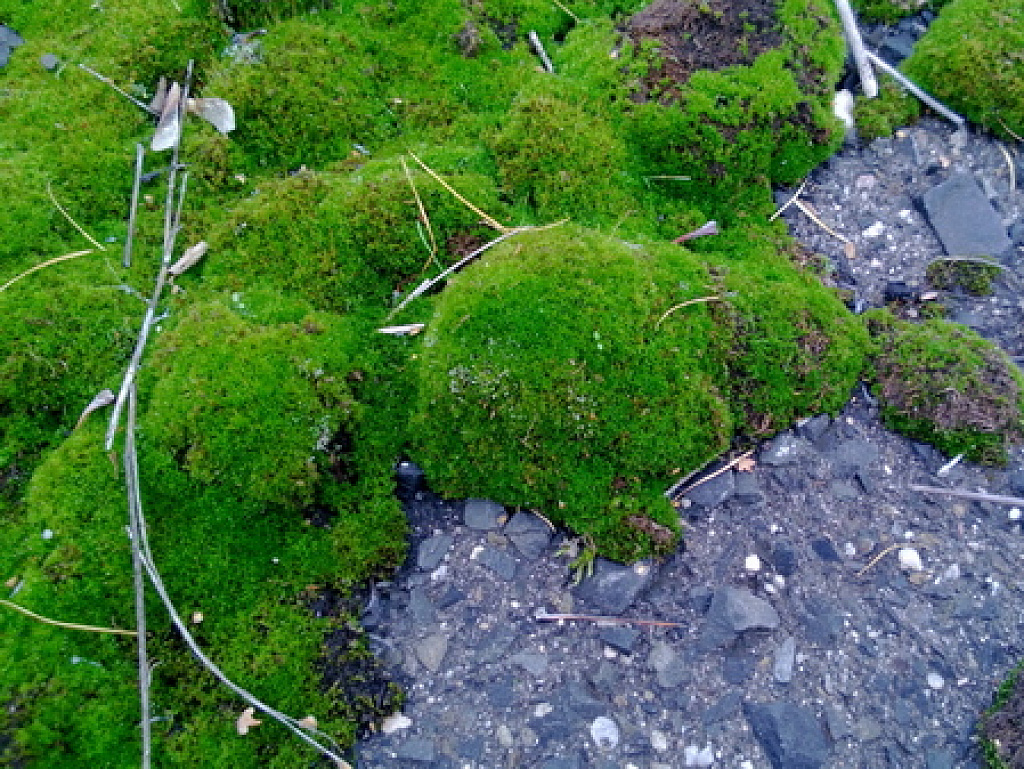 Nokia Lumia 920