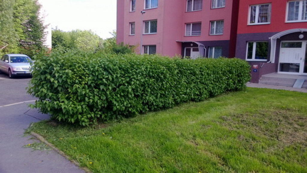 Nokia Lumia 720