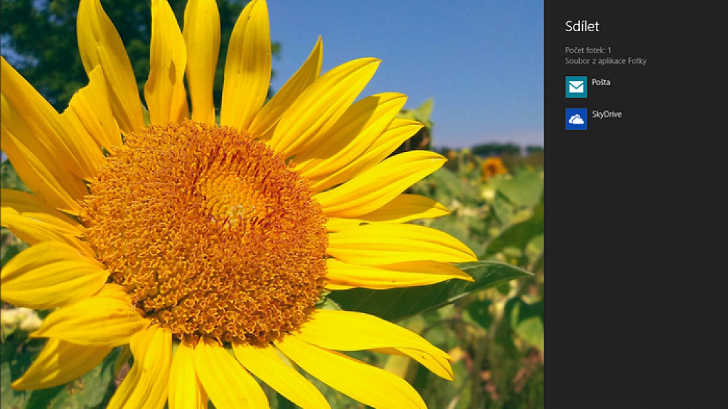 Windows 8 gesta
