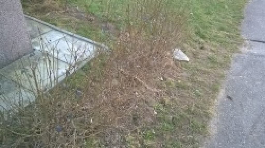 Nokia Lumia 535