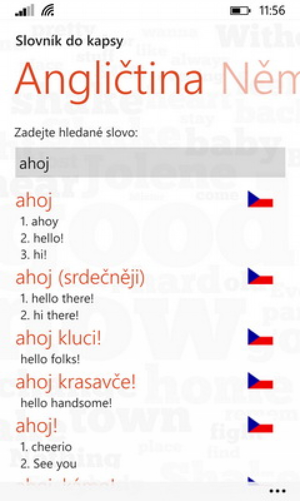 Slovník do kapsy