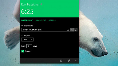 Obrázek