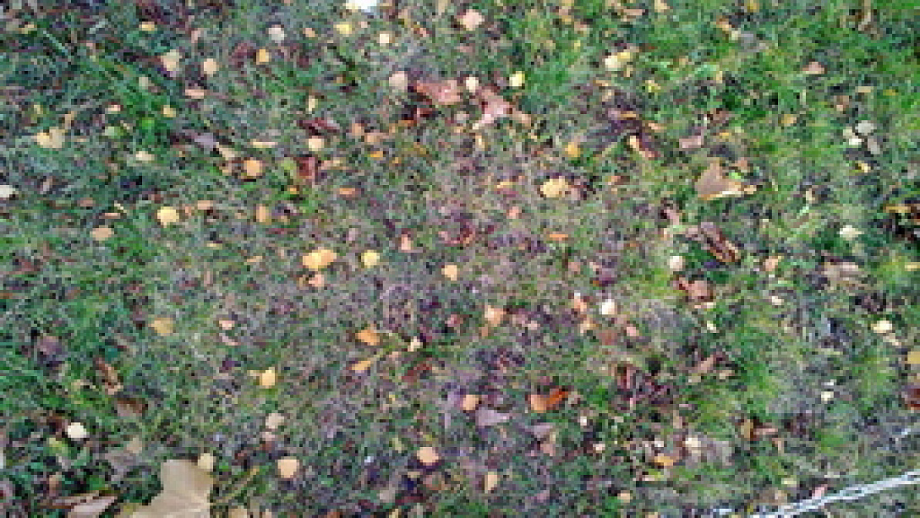Nokia Lumia 820