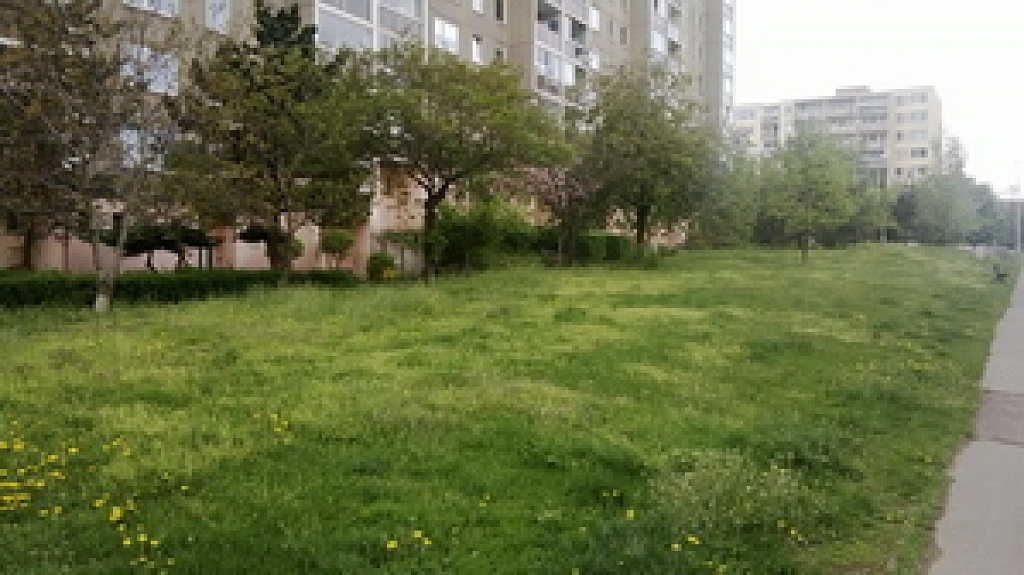 Nokia Lumia 520