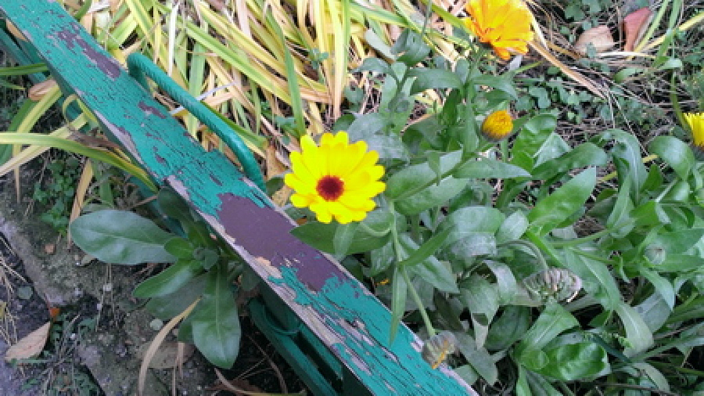 HTC 8X