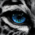 ch3lios