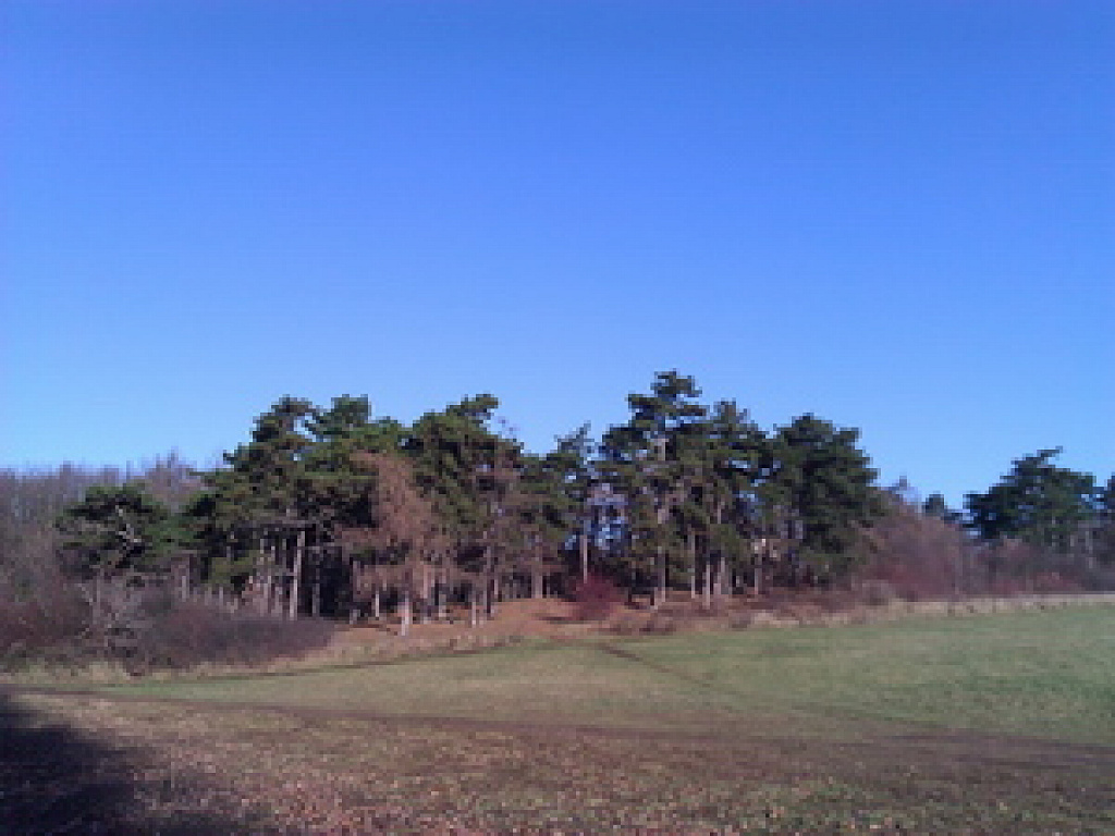 HTC HD7