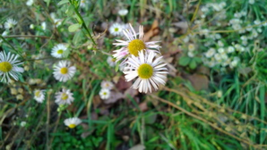 Nokia Lumia 820