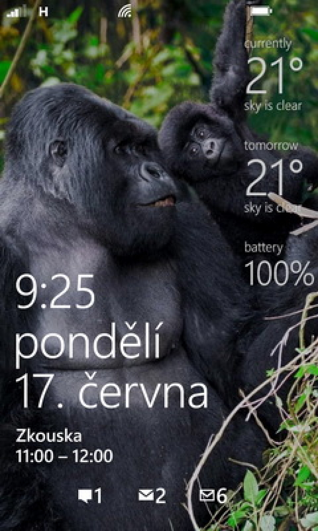 lock widgets
