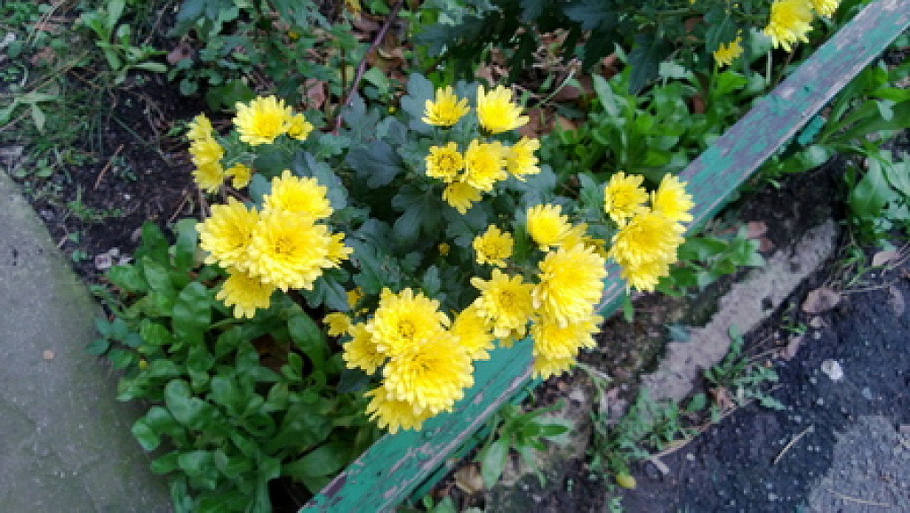 Nokia Lumia 920