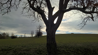 Obrázek