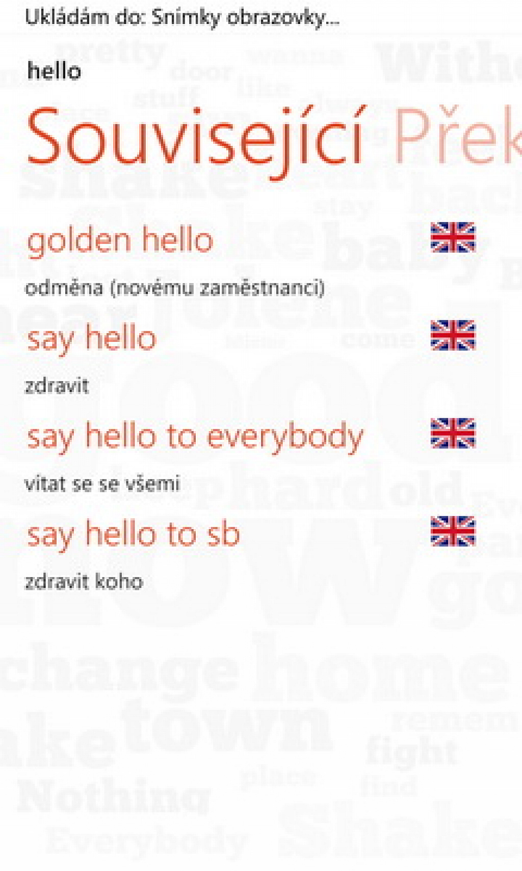 Slovník do kapsy