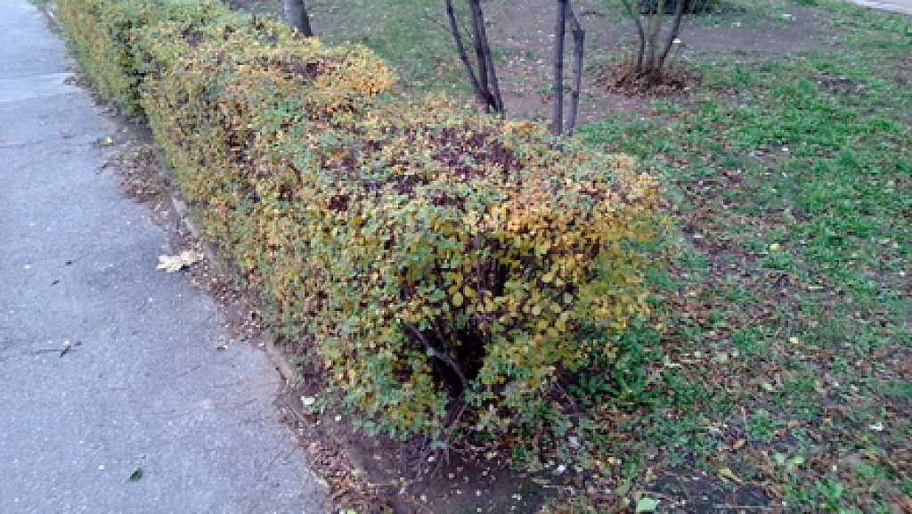 Nokia Lumia 920