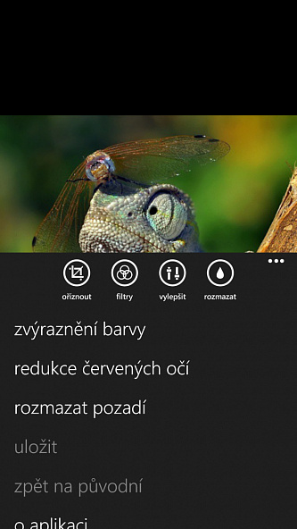 Obrázek