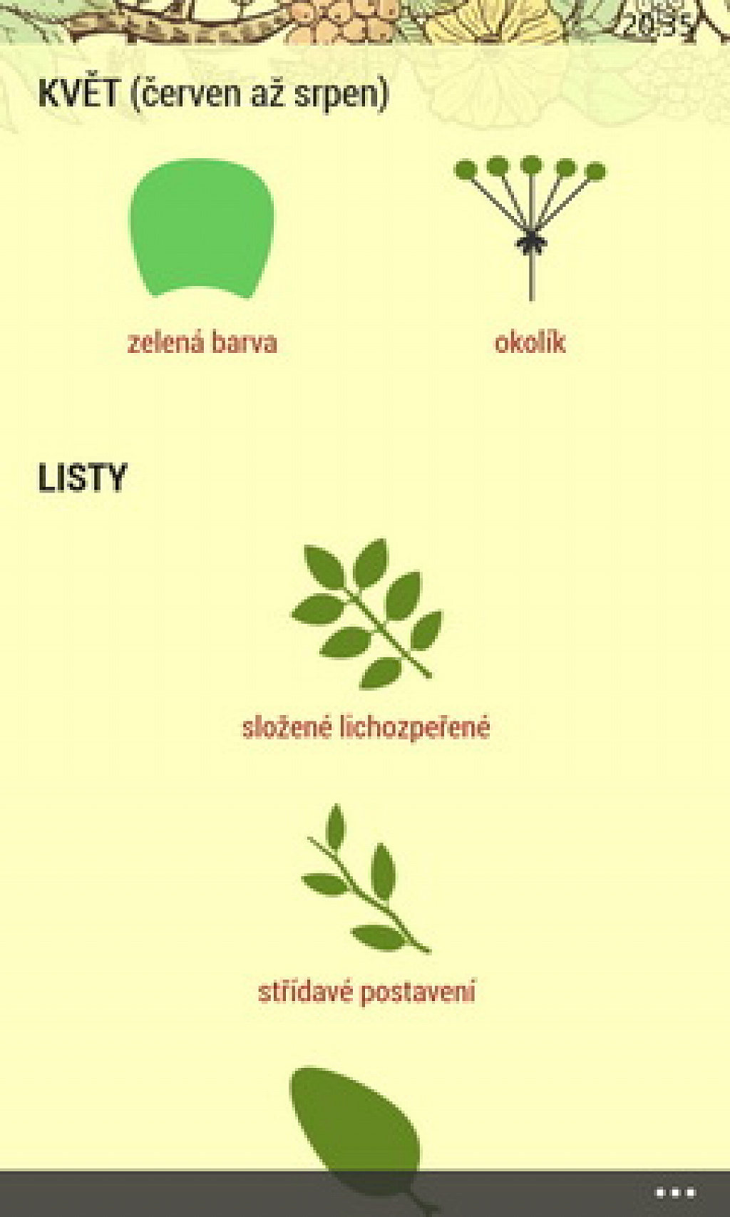 Herbalist