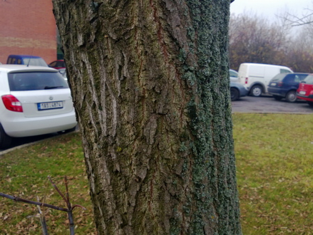 Nokia Lumia 920