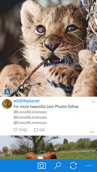 Obrázek