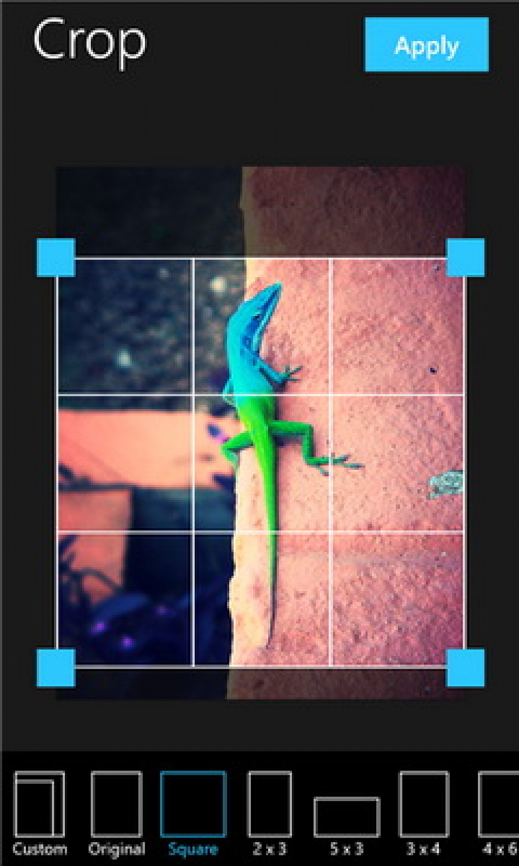 aviary foto editor