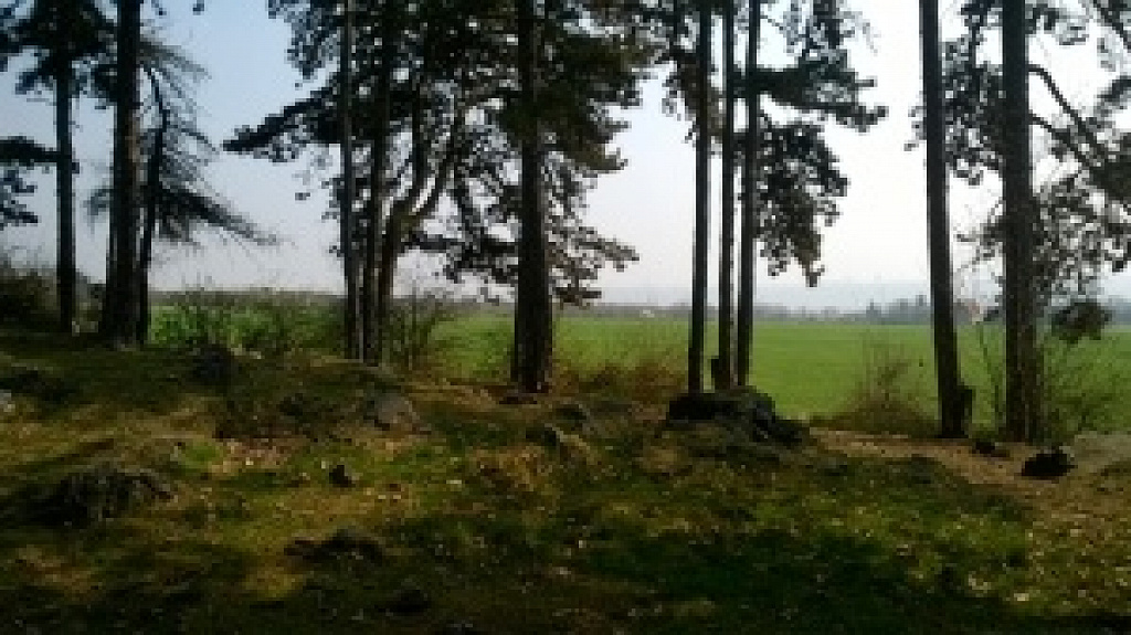 Nokia Lumia 1320