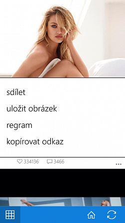 Obrázek