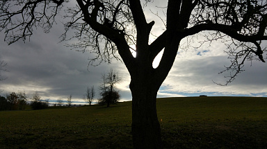 Obrázek