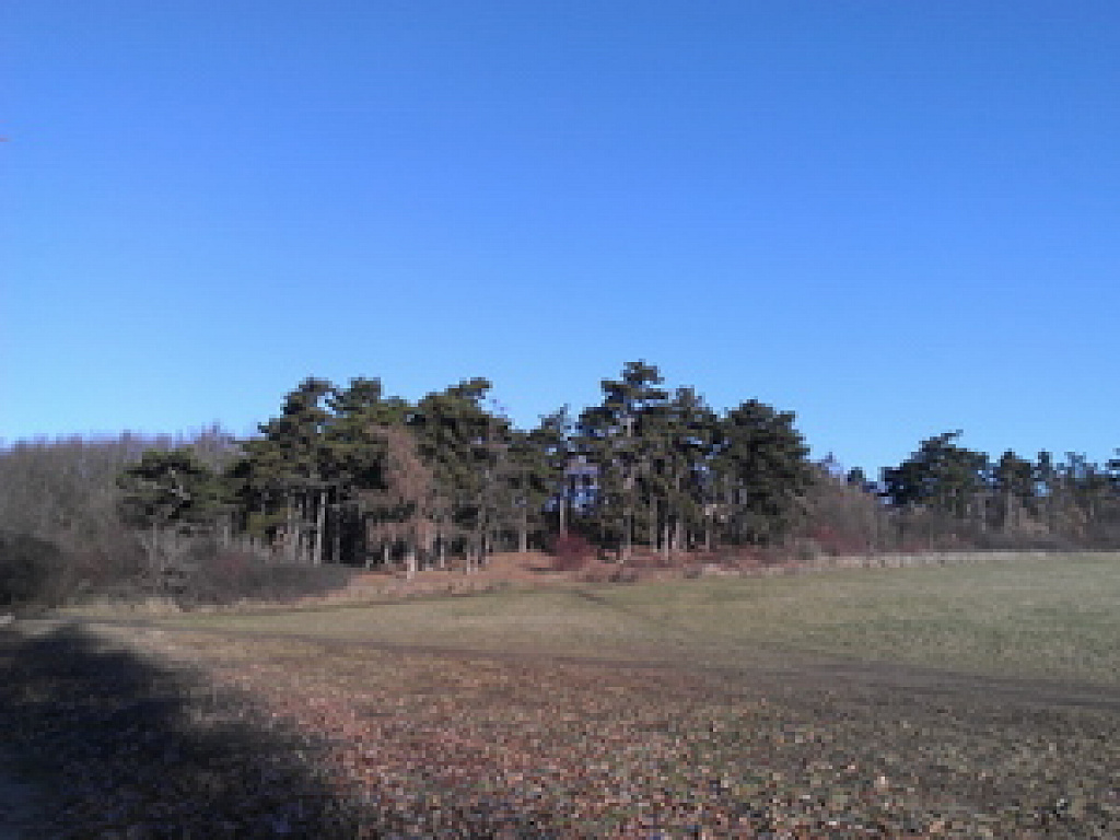 HTC Radar