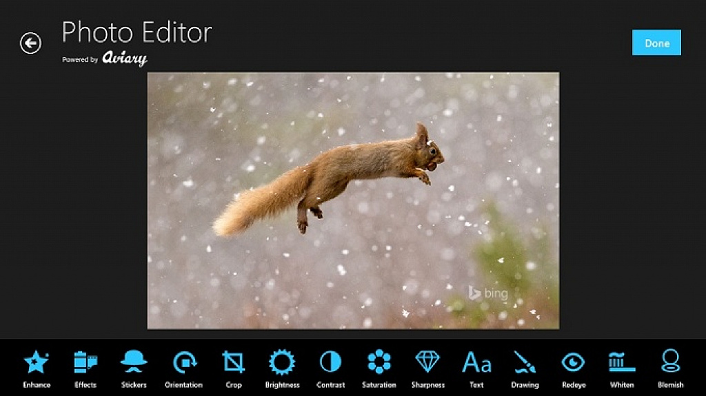 photo editor