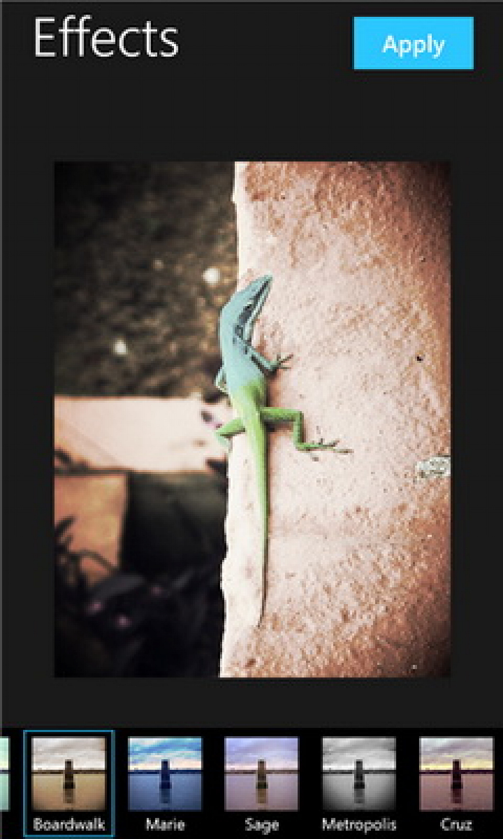 aviary foto editor