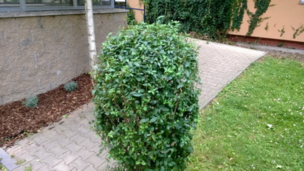 Nokia Lumia 925