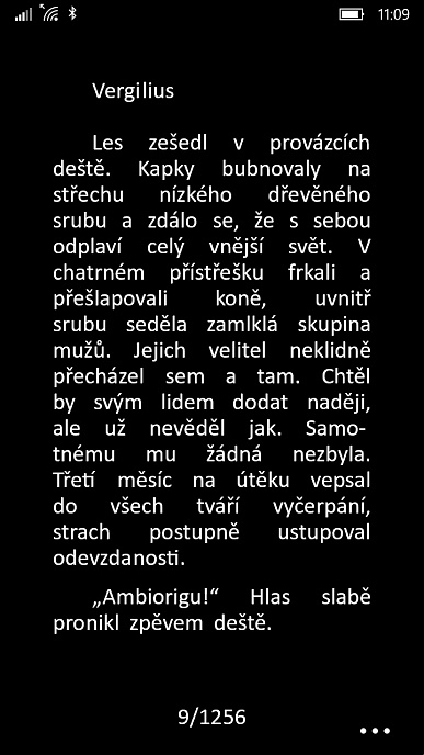 Obrázek
