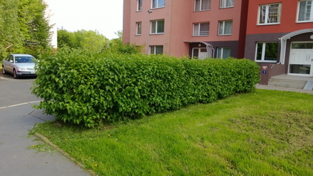 Nokia Lumia 920
