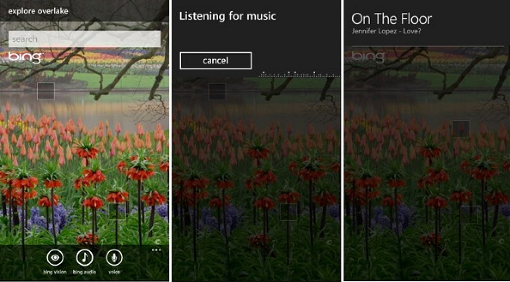 Bing Search
