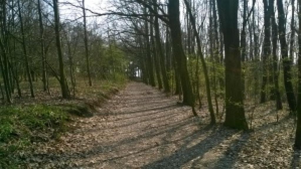Nokia Lumia 1320